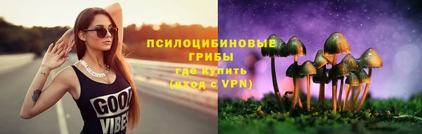 стафф Белокуриха