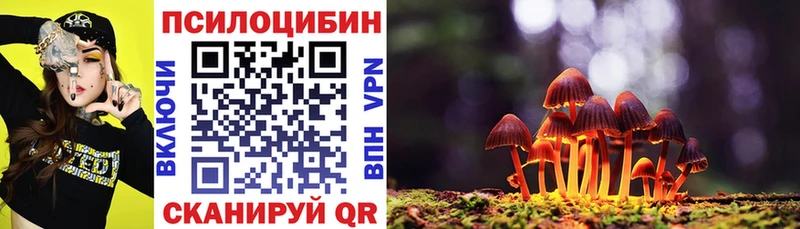 Псилоцибиновые грибы прущие грибы Купить закладки Бежецк
